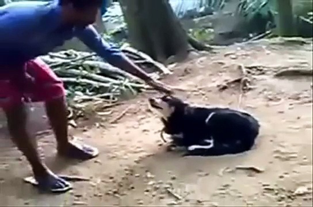 FUNNY VIDEOS INDIA  FUNNY INDIAN WHATSAPP VIDEOS  EPIC FAIL