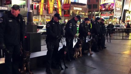 K9 dogs listen to Laurie Anderson in Times Square