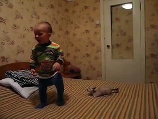 Кунг-фу Кошка