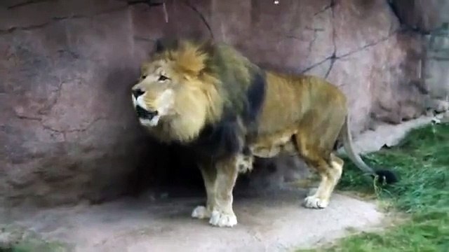 miracles of allah_ عجائب وغرائب العالم ومشاهد عجيبة وغريبة