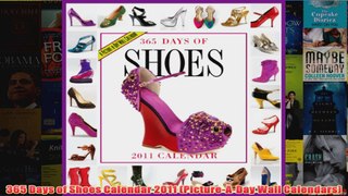 365 Days of Shoes Calendar 2011 PictureADay Wall Calendars