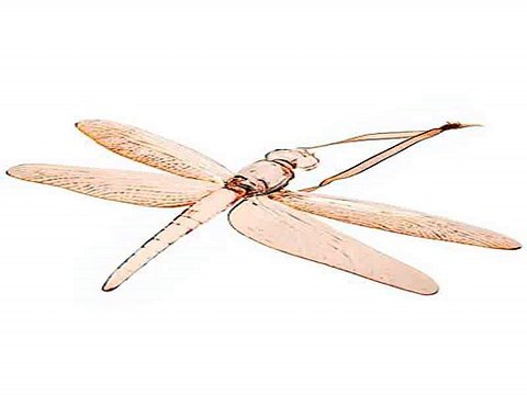 Стильный подарок на все случаи жизни - Украшение для интерьера Стрекоза в г. Барнаул