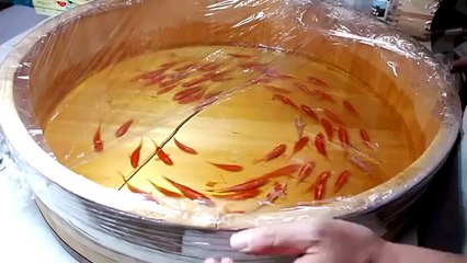 Parecem vários peixes a nadar na água. Mas quando olhares melhor...