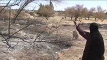 الحوثيون يتلفون المزارع بمحافظة مأرب