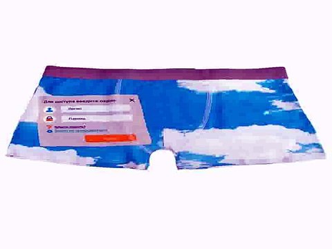 Незаменимый подарок на все случаи жизни - Трусы мужские Логин и пароль в г. Екатеринбург