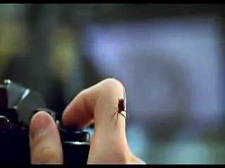 Spider-Man, la piqûre de l'araignée