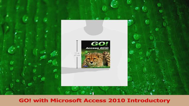 PDF Download GO with Microsoft Access 2010 Introductory Download Online