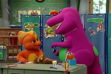 Vets and Pets Barney & Friends