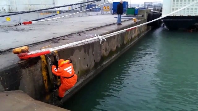 Un chat est sauvé des hélices d'un bateau par un homme courageux