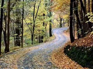 ferhat göçer - takvim