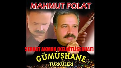 Mahmut Polat - Bir Torpil bulamadım (2007)