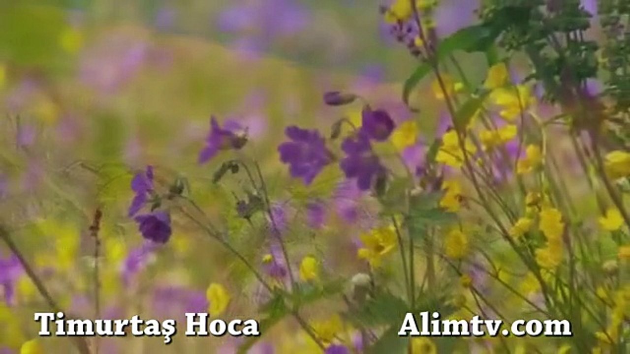 Kimler Cennete Giremeyecek - Timurtaş Hoca