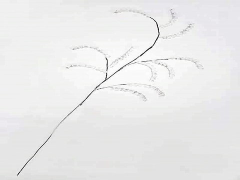 Купил отличный подарок на все случаи жизни - Украшение для интерьера Веточка с капельками в г. Омск