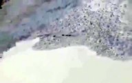 Çığın Altında Kalan Dağ Keçileri Amatör Kamera Tarafından Böyle Görüntülendi
