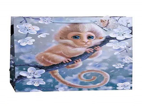 Отличный подарок на все случаи жизни - Пакет подарочный Волшебная обезьянка в г. Нижний Новгород