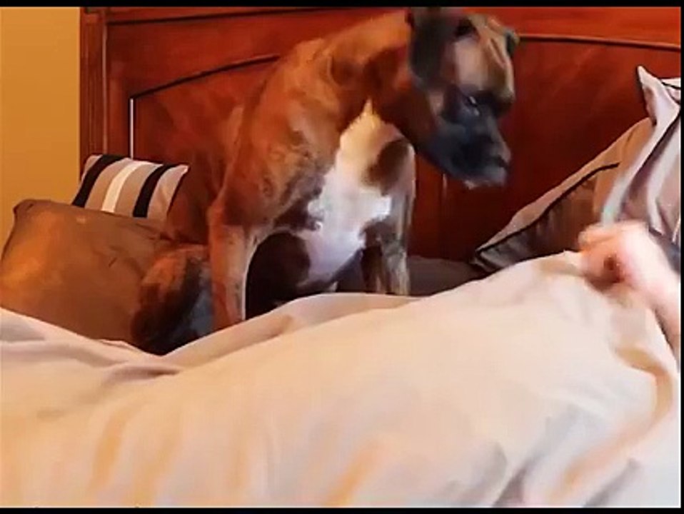 Funny