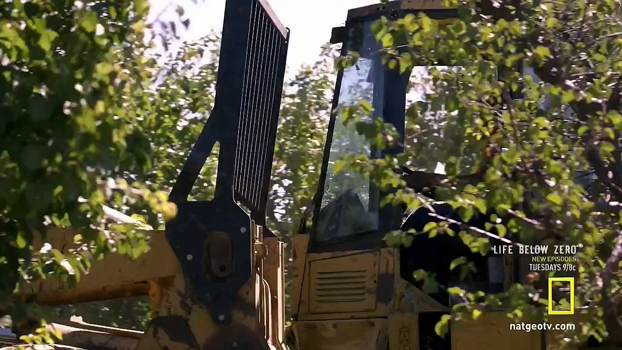 b6