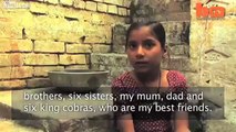 8 Yaşındaki Hintli Kız Kobralarla Oynuyor