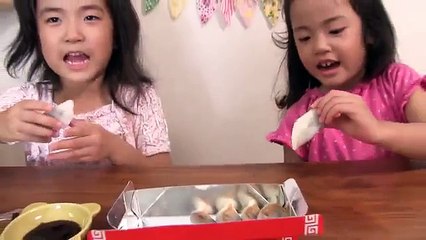 おとりよせシリーズ♪まるでギョーザ！？