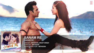 SANAM RE Full Audio Song (Title Track)  Pulkit Samrat, Yami Gautam, Divya Khosla Kumar - HDCoverSongs