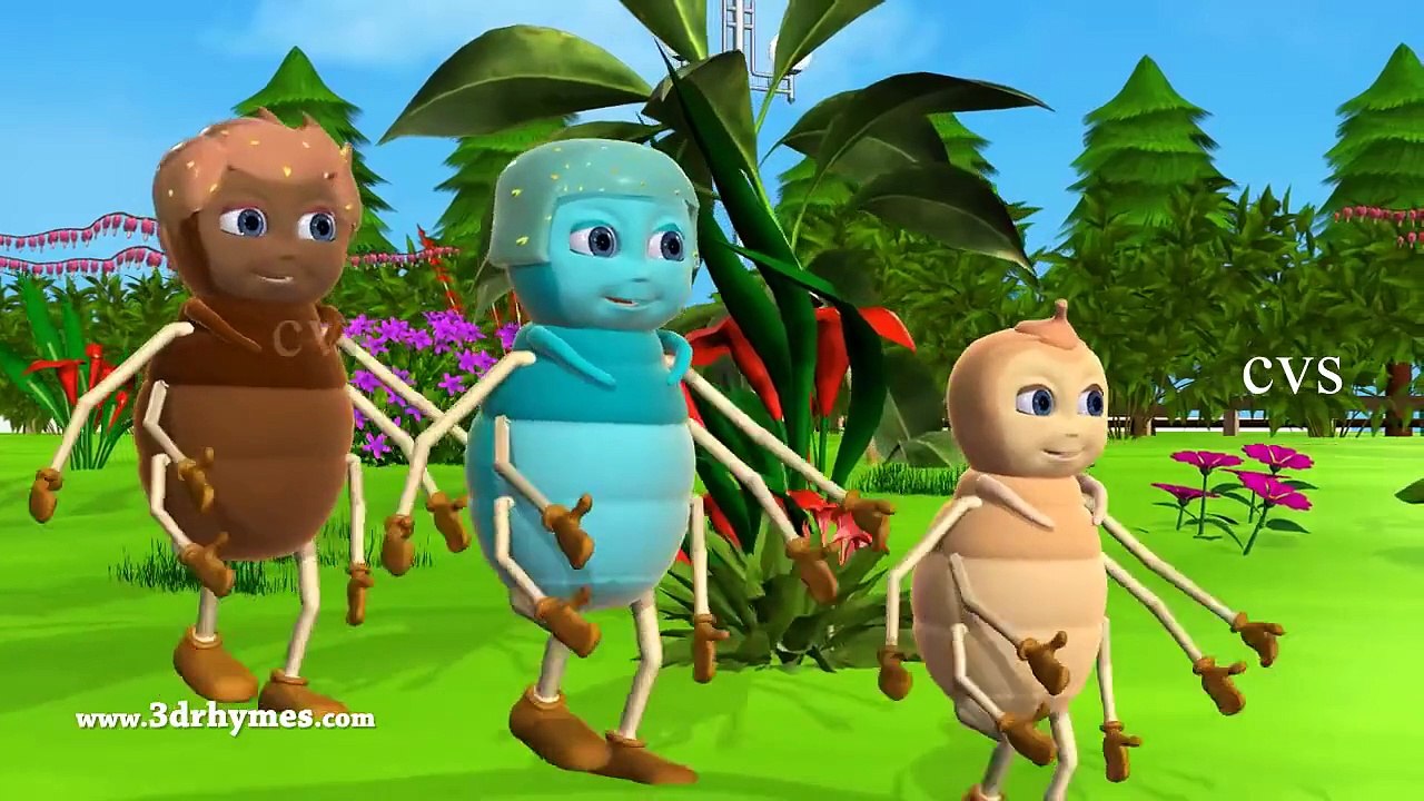 Itsy bitsy spider | Incy wincy spider - 3D Animation English Nursery rhyme song for childr