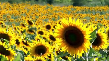 Първите Български Столици