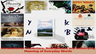 PDF Download  Consolations The Solace Nourishment and Underlying Meaning of Everyday Words PDF Online