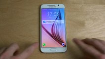 Samsung Galaxy S6 Official Android 6.0 Beta - Review