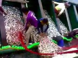 Raining Fish! Lucky fishermen gets loads of fishes