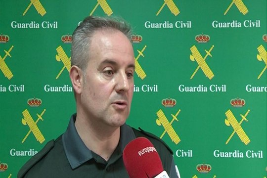 Detenido en Don Benito un hombre que tenía 55 perros hacinados