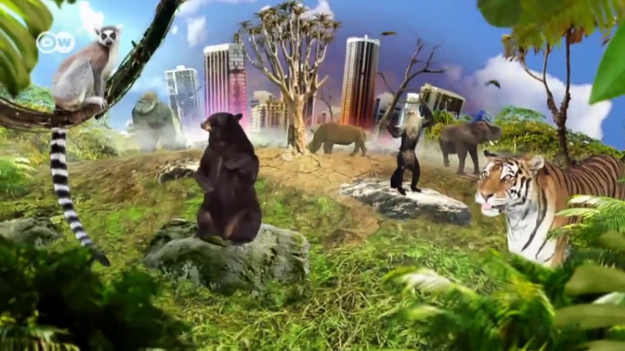 Sheep, bears and wolves in the Caucasus | Global 3000