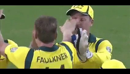 whatsapp funny videos 2016 2015 _ cricket funny fail clip ever