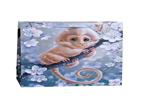 Приличный подарок на все случаи жизни - Пакет подарочный Волшебная обезьянка в г. Пермь