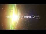 Hafiz Ahmed Raza Qadri - Aaya Hai Tera Diwana - Mera Koi Nahi Hai Tere Siwa 2015 watch on only daily motion