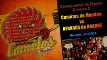 Comètes de Meudon vs Renards de Roanne  3/1/2016