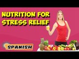 Manejo nutricional para aliviar el estrés | Nutritional Management For Stress Relief in Spanish