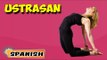 Ustrasana | Yoga para principiantes | Yoga Asana For Heart & Tips | About Yoga in Spanish