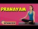 Pranayama Yoga | Yoga para principiantes | Yoga For Stress Relief & Tips | About Yoga in Spanish