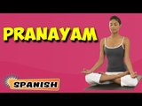 Pranayama | Yoga para principiantes | Yoga For Young At Heart & Tips | About Yoga in Spanish