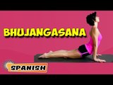 Bhujangasana (Cobra Pose) | Yoga para principiantes | Yoga Asana For Heart | About Yoga in Spanish