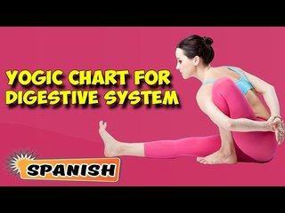 Yoga para el sistema digestivo | Yoga For Digestive System | Yogic Chart & Benefits of Asana