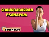 Chandrabhedan Pranayam | Yoga para principiantes | Yoga For Insomnia & Tips | About Yoga in Spanish