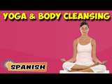 Yoga para la limpieza del cuerpo | Yoga For Body Cleansing | Beginning of Asana Posture in Spanish