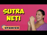 Sutra Neti | Yoga para principiantes | Yoga For Body Cleansing & Tips | About Yoga in Spanish