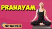 Pranayama Yoga | Yoga para principiantes | Yoga For Digestive System & Tips | About Yoga in Spanish