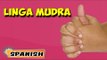 Linga Mudra | Yoga para principiantes | Yoga Hand Mudra For Health Care | About Yoga in Spanish