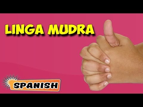 Linga Mudra | Yoga para principiantes | Yoga Hand Mudra For Health Care | About Yoga in Spanish