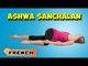 Ashwa Sanchalanasana | Yoga pour les débutants complets | Yoga For Beginners | About Yoga in French