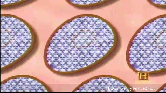 Surviving The Worst Case Scenario - Surviving Technology Documentary - Documentary Films (Official)