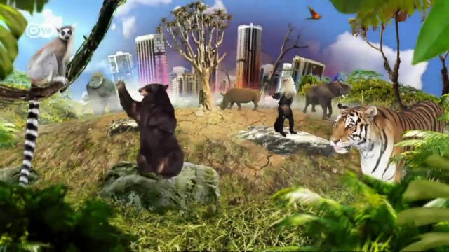 Los elefantes de Namibia - vía libre para los paquidermos | Global 3000